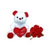 pelúcia com rosas vermelhas