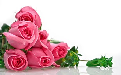 entrega de flores e floricultura online