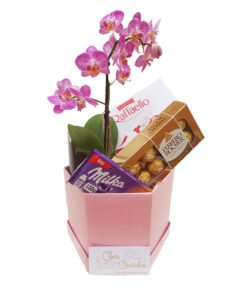 orquídea e chocoates