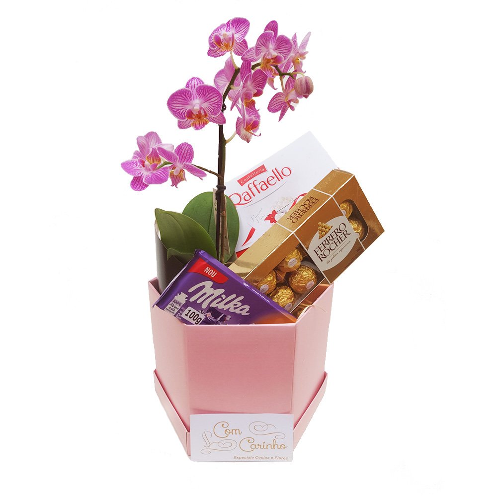Mini Orquídea e Chocolates Premium - Especiale Cestas e Presentes Online
